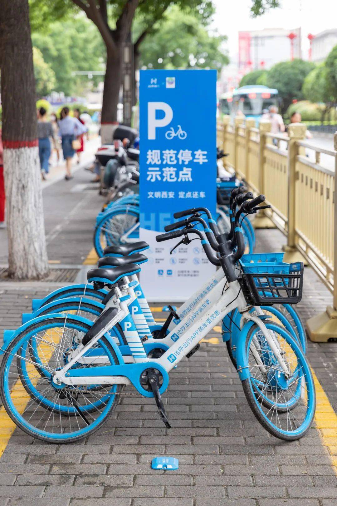 Travel China Smart: Tech-Enabled Journeys Like Never Before