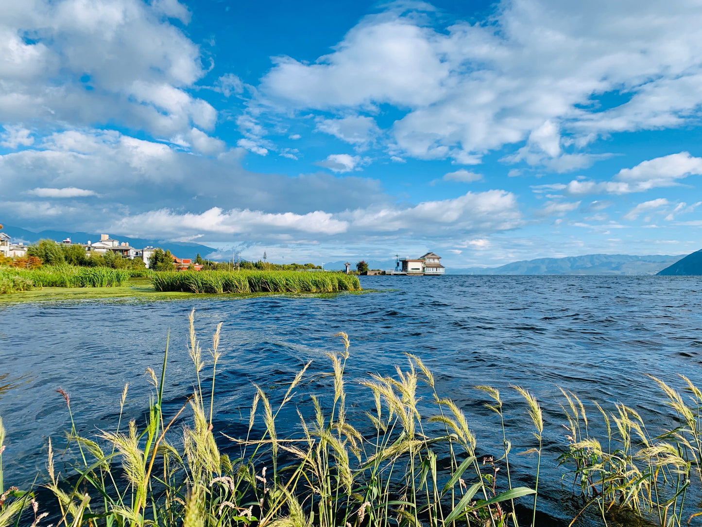 Yunnan 9-Day Across 4 Regions: Snow Mountains - Ancient Towns - Tea Plantations - Rainforests Panoramic Tour