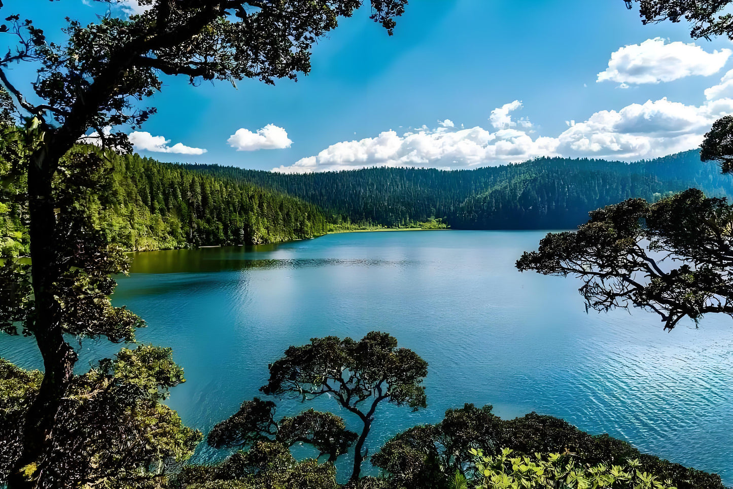 Yunnan 11-Day Panorama Tour: Snow Mountains, Ancient Towns & Rainforests