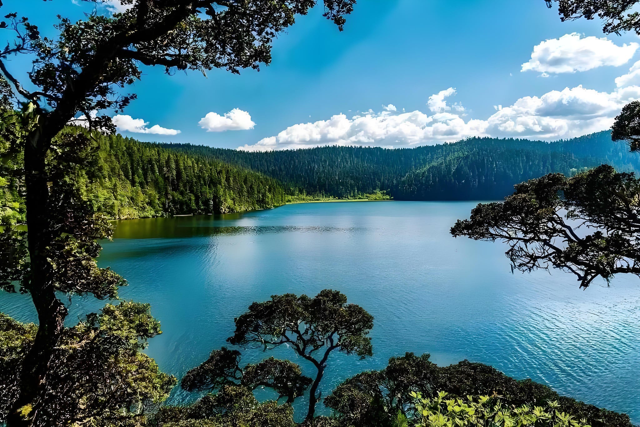 Yunnan 11-Day Panorama Tour: Snow Mountains, Ancient Towns & Rainforests