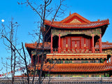 15-Day China Panoramic Tour: 7 Regions, 9 Cities & 5,000 Years of Civilization