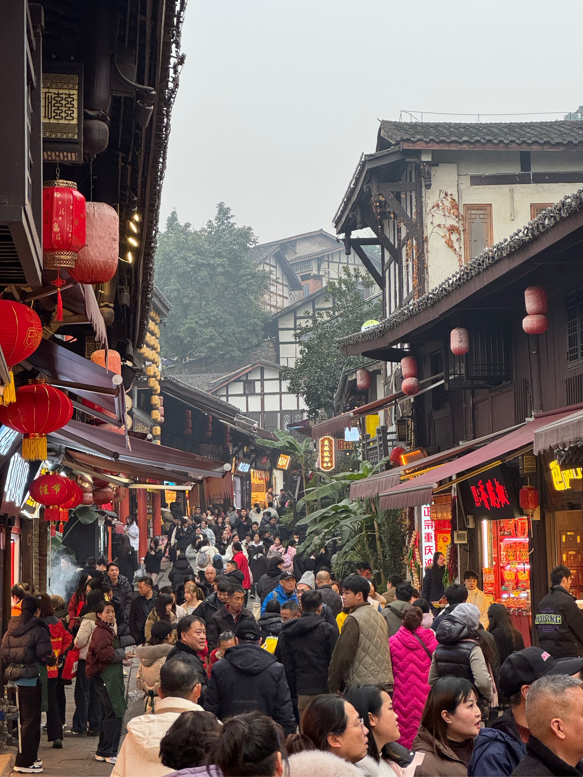 Chongqing 5-Day Tour: Nature, History & Hotpot Delight