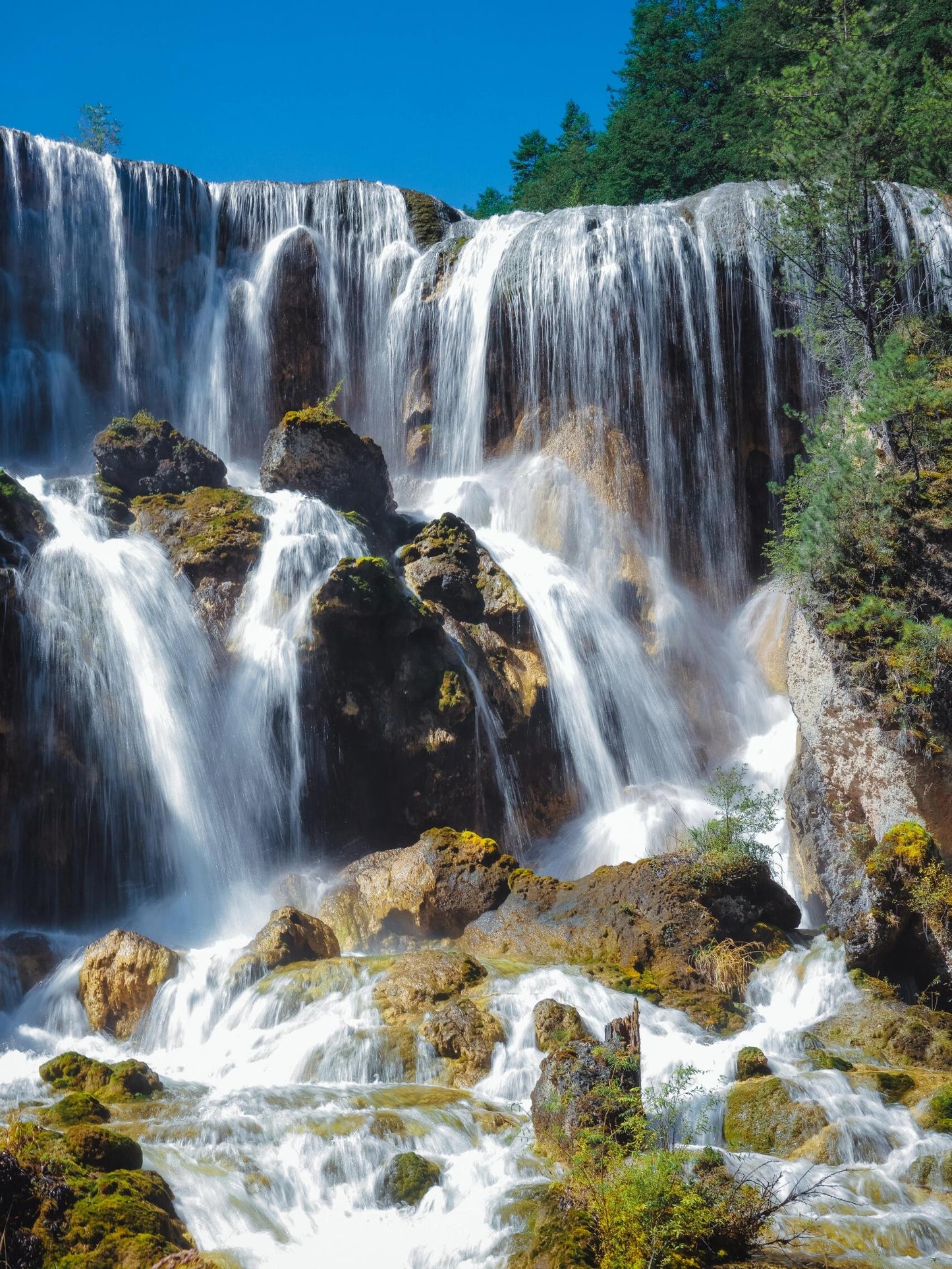 Chengdu 7-Day Tour: Pandas, Heritage & Jiuzhaigou's Natural Wonders
