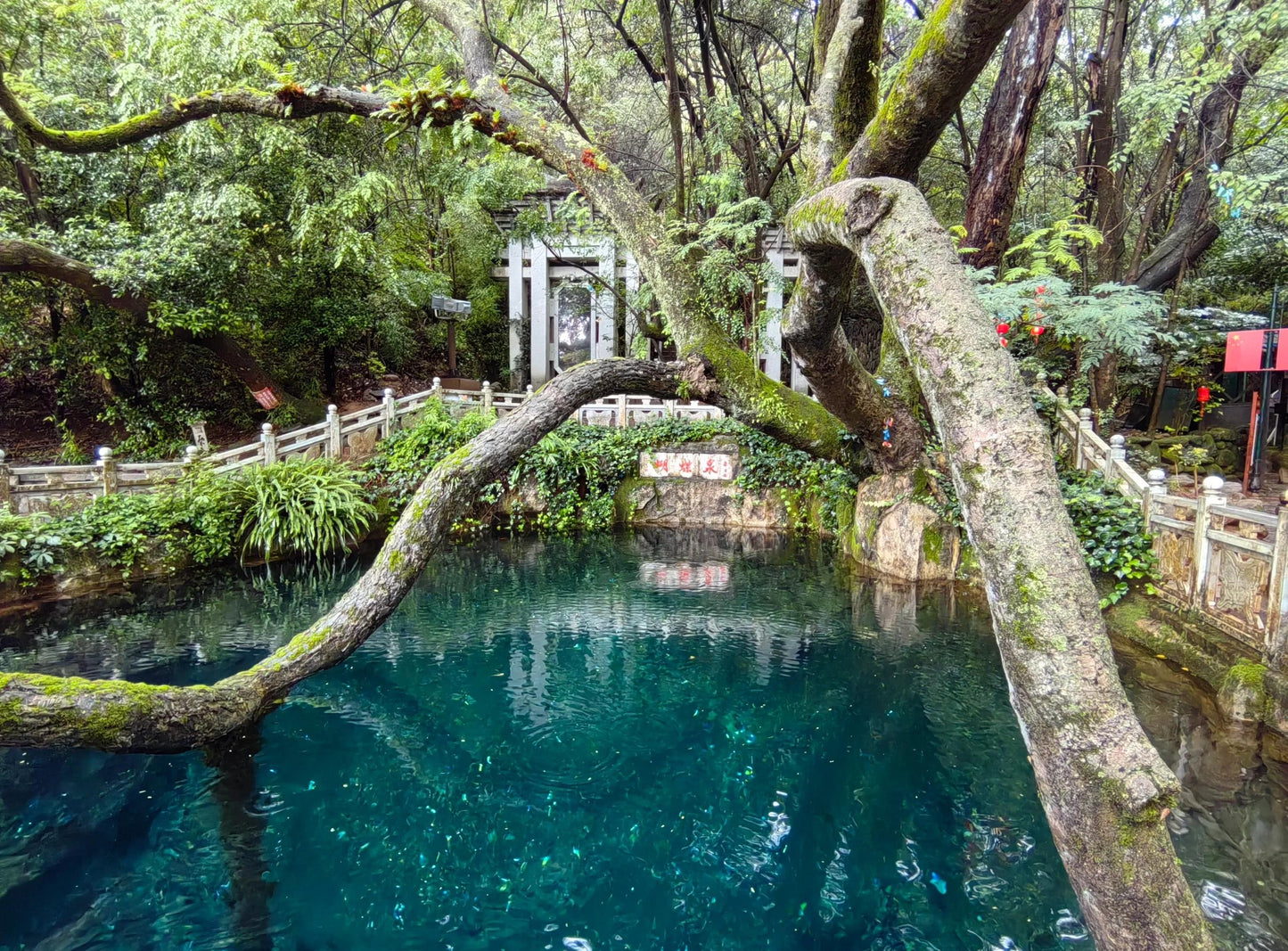 Yunnan 9-Day Across 4 Regions: Snow Mountains - Ancient Towns - Tea Plantations - Rainforests Panoramic Tour