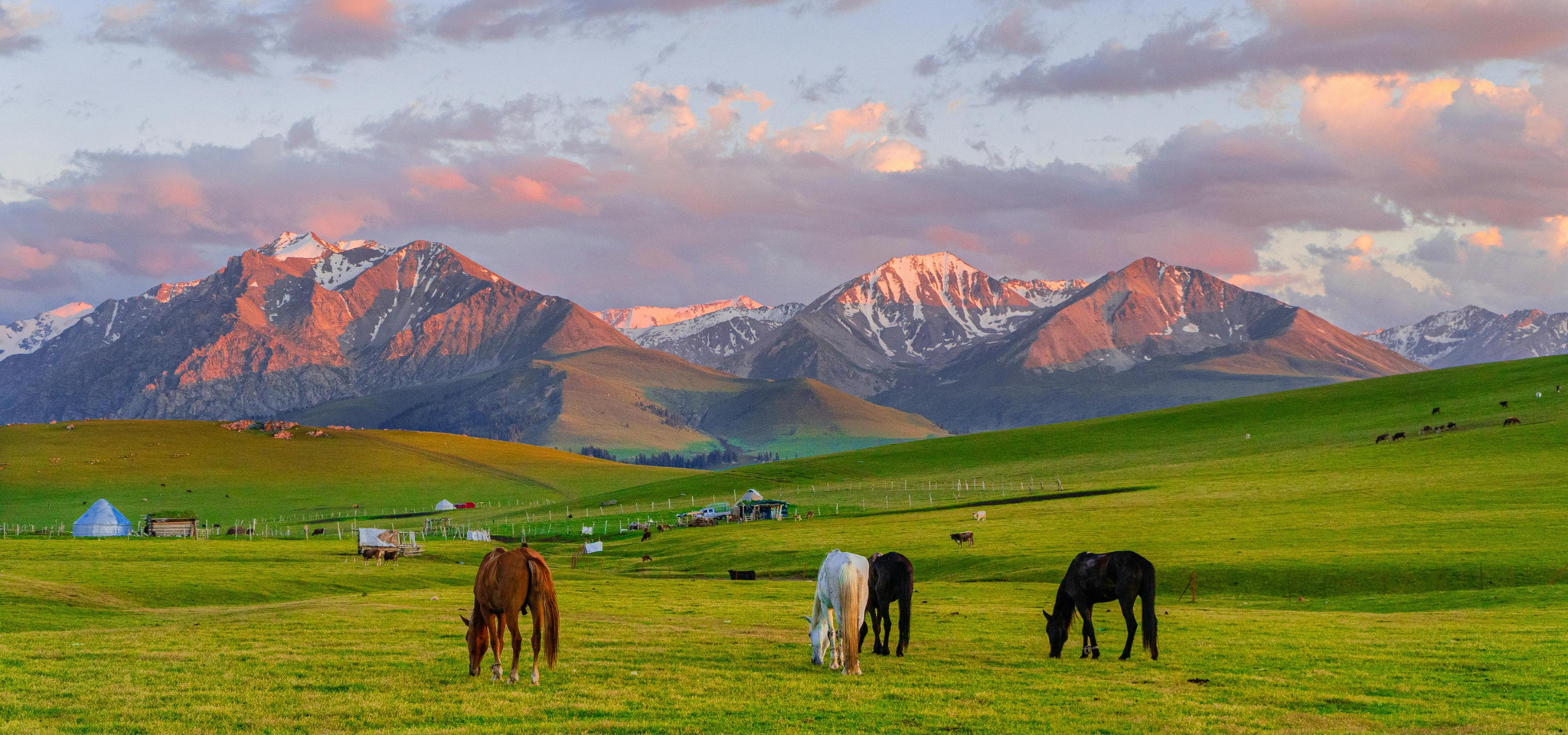 Ili 7-Day Explorer: Sayram Blue & Swan Lake Mist