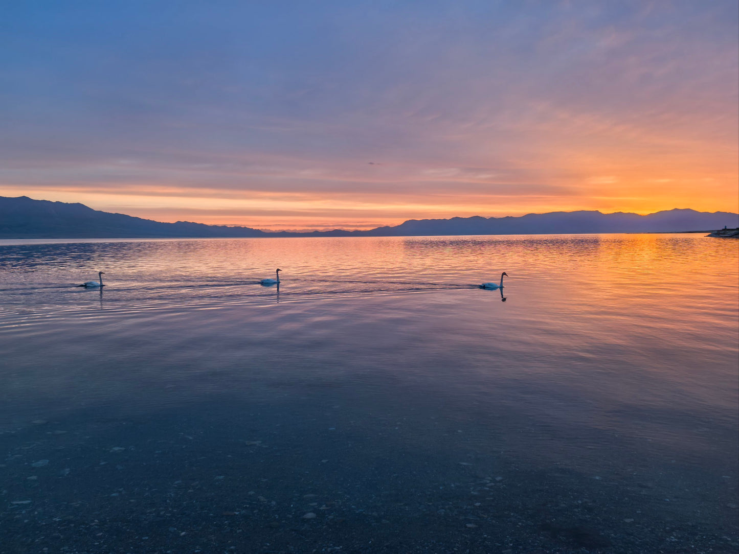 Xinjiang Yili Small Loop 7-Day Tour: Winter Magic of Lakes, Forests & Grasslands