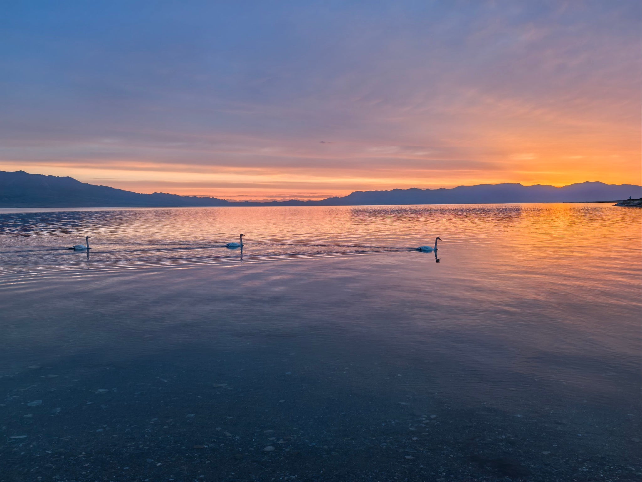 Xinjiang Yili Small Loop 7-Day Tour: Winter Magic of Lakes, Forests & Grasslands