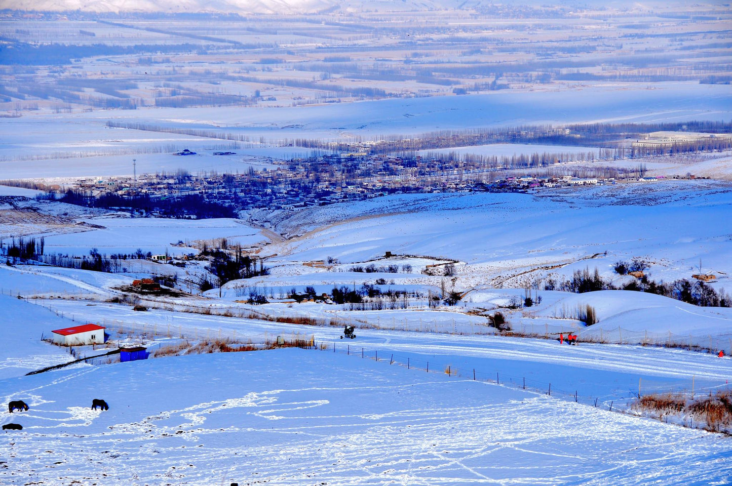 Xinjiang Yili Small Loop 7-Day Tour: Winter Magic of Lakes, Forests & Grasslands