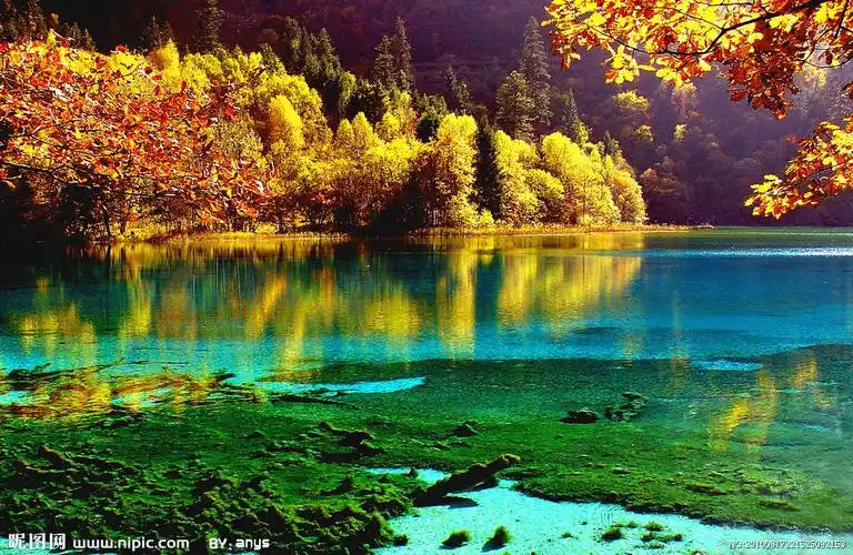 Chengdu 7-Day Tour: Pandas, Heritage & Jiuzhaigou's Natural Wonders