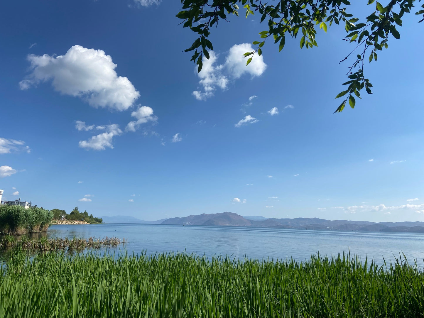 Yunnan 11-Day Panorama Tour: Snow Mountains, Ancient Towns & Rainforests