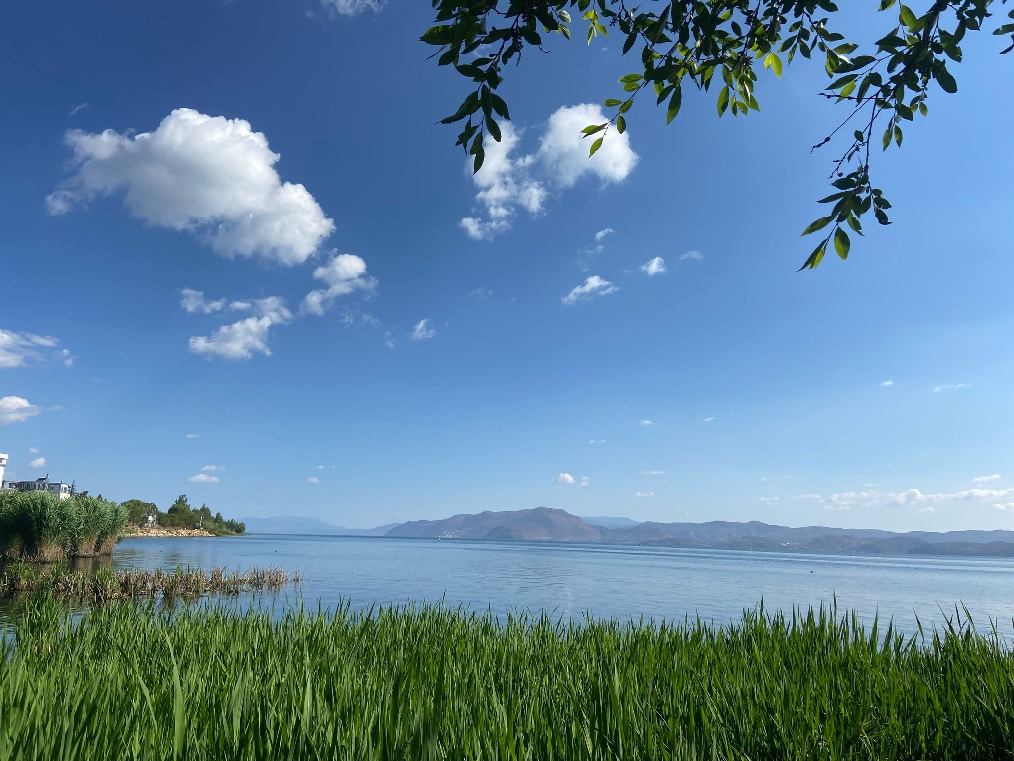 Yunnan 11-Day Panorama Tour: Snow Mountains, Ancient Towns & Rainforests