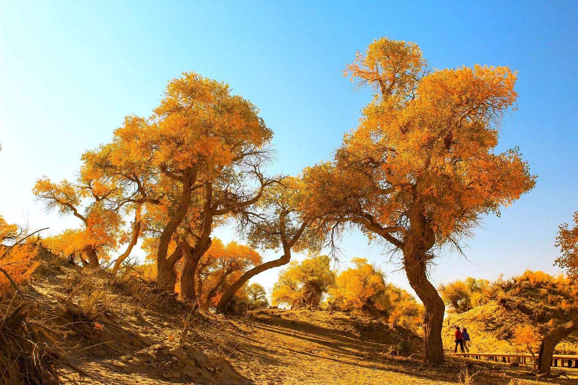 11-Day Southern Xinjiang Grand Loop: Silk Road Wonders, Desert Adventure & Pamir Plateau