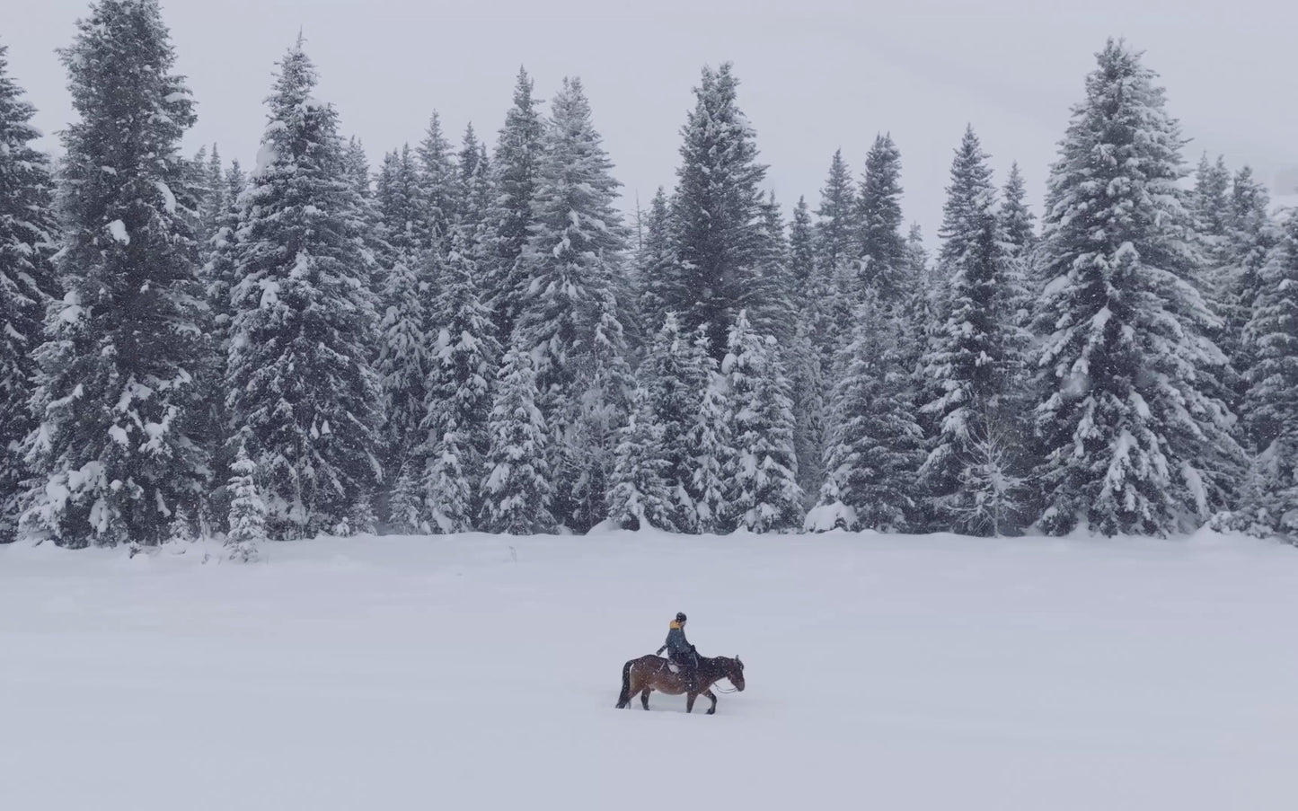 Xinjiang Northern Grand Loop 10-Day Winter Tour