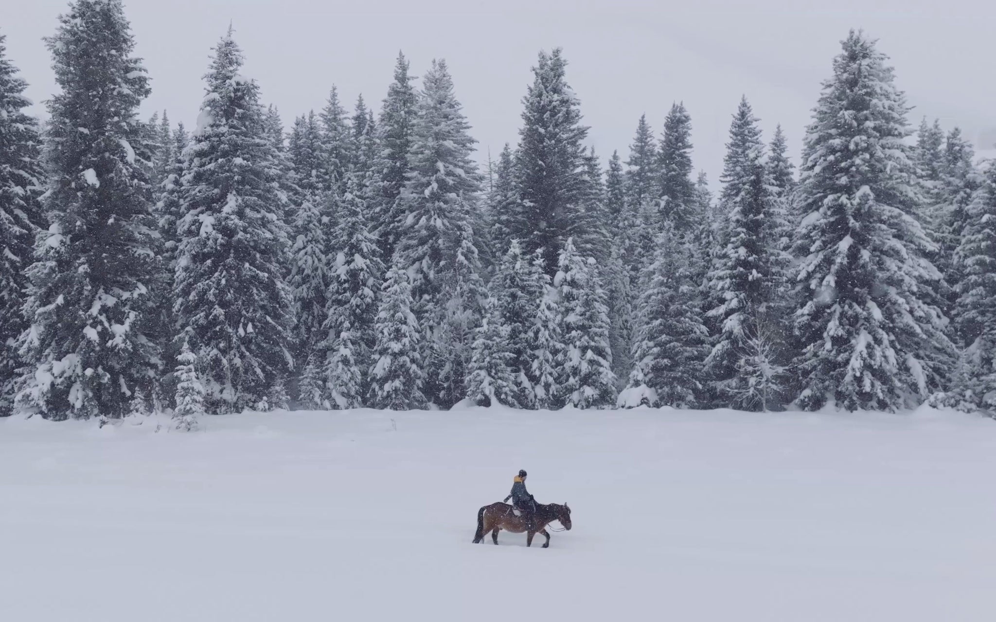 Xinjiang Northern Grand Loop 10-Day Winter Tour