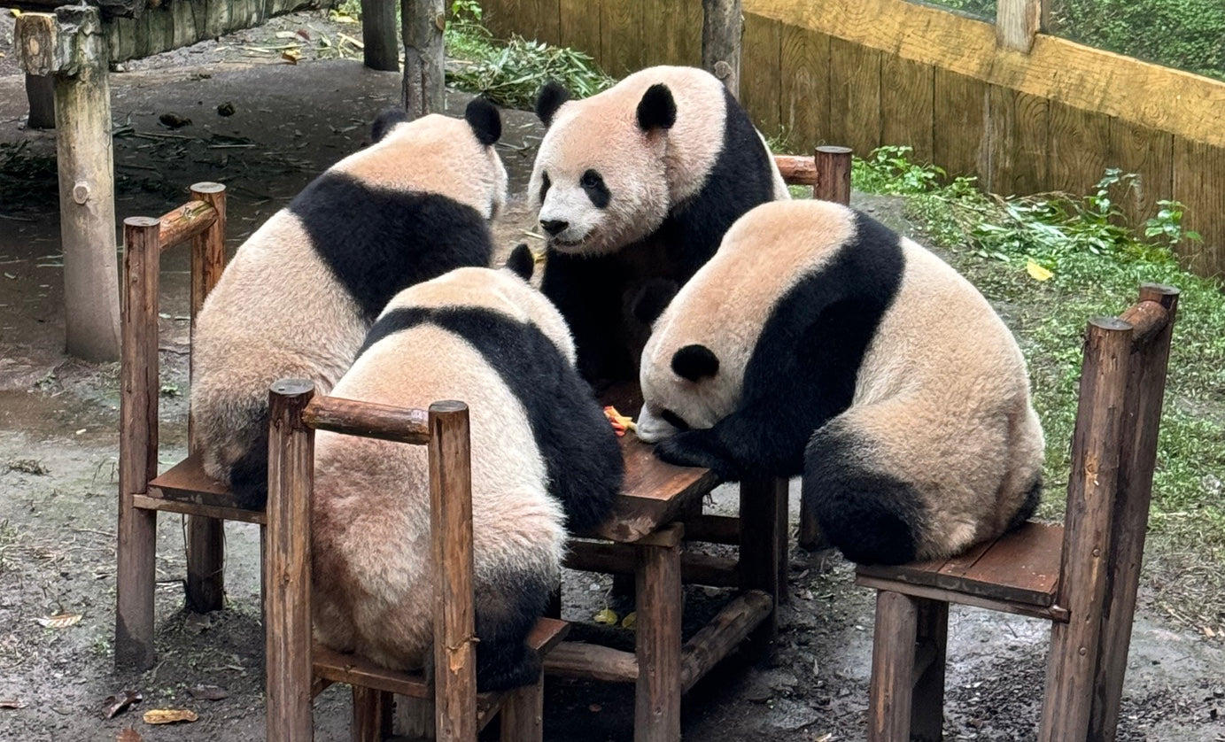 14-Day China Panoramic Tour: Ancient Capitals, Natural Wonders & Modern Cities