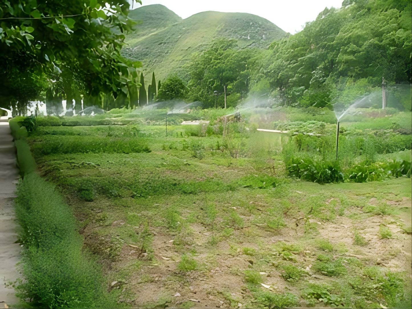 Nanchuan One-Day Tour: Medicinal Plant & Jinfo Mountain Adventure