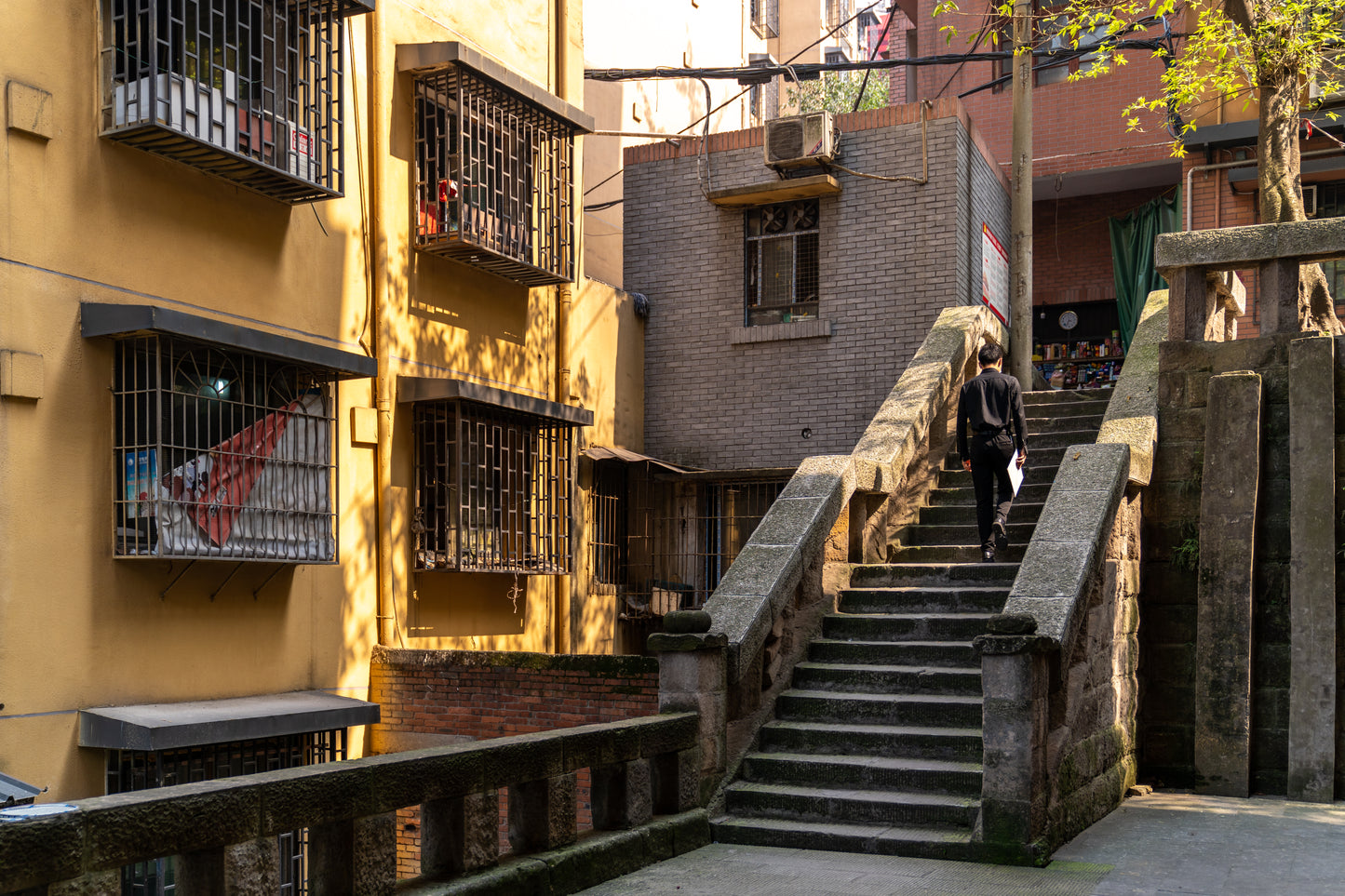 Chongqing 5-Day Private Tour: Natural Wonders, Cultural Heritage & Panda Encounter