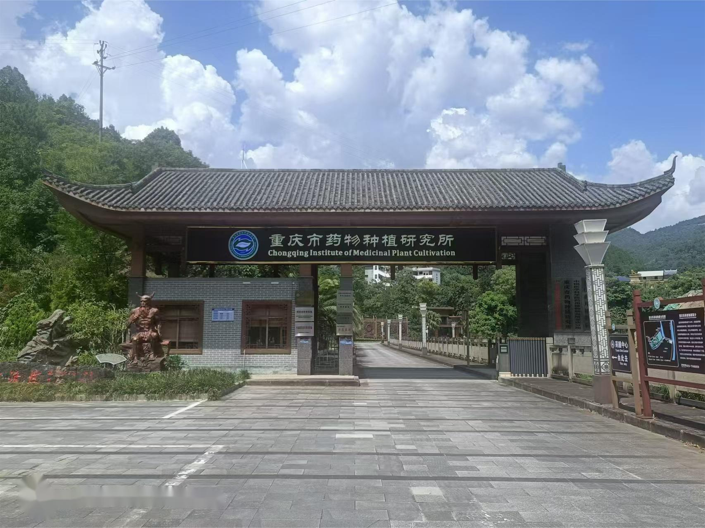 Nanchuan One-Day Tour: Medicinal Plant & Jinfo Mountain Adventure