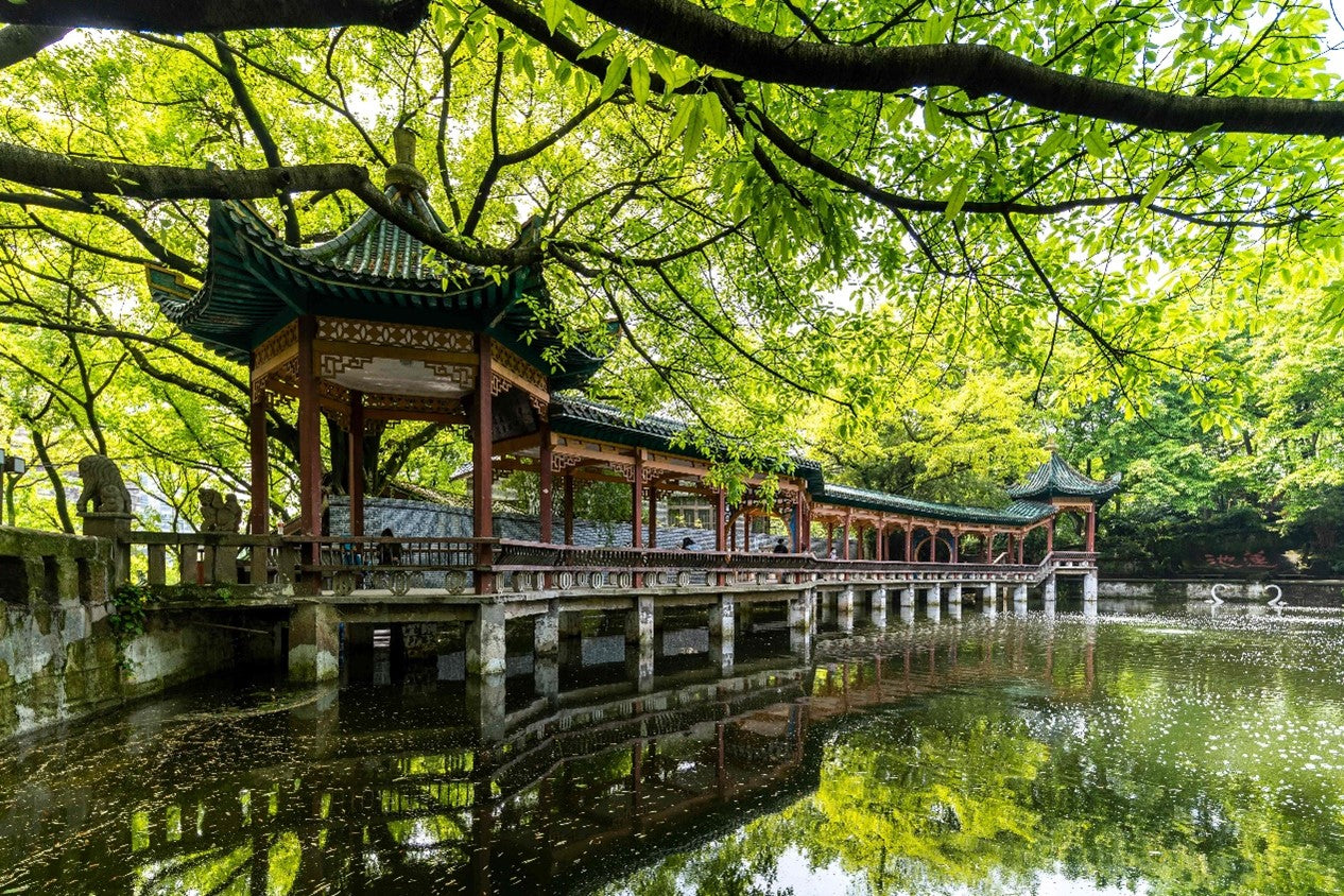 14-Day China Panoramic Tour: Ancient Capitals, Natural Wonders & Modern Cities