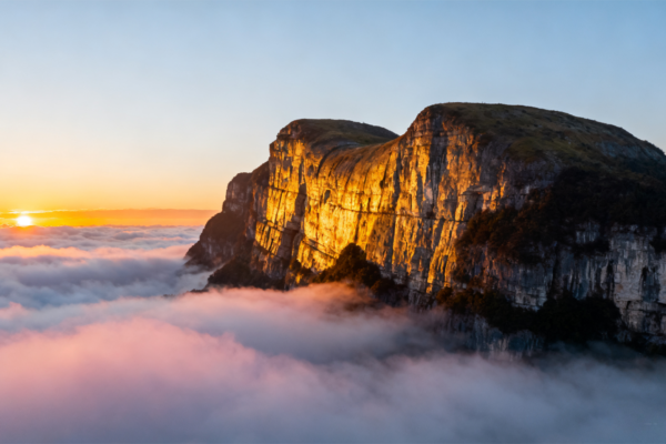 Nanchuan One-Day Tour: Medicinal Plant & Jinfo Mountain Adventure