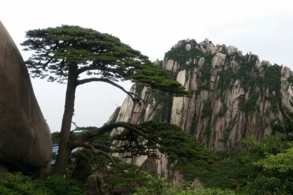 Hong Kong-Hangzhou-Huangshan 9-Day Tour: Urban Charm, Lakes & Mountain Wonders